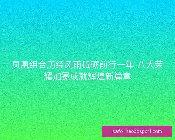 凤凰组合历经风雨砥砺前行一年 八大荣耀加冕成就辉煌新篇章 凤凰组合历经风雨砥砺前行一年 八大荣耀加冕成就辉煌新篇章
